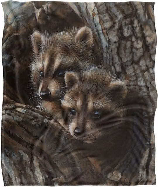 JQ Licensing Two Raccoons Silky Touch Super Soft Fleece Throw Blanket, White, W/D/H: 152 x 127 cm – 1