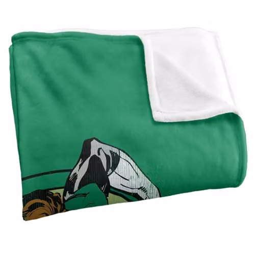 Warner Bros. Green Lantern Power Stance Super Soft Fleece Throw Blanket, Green and Multicolour – 2