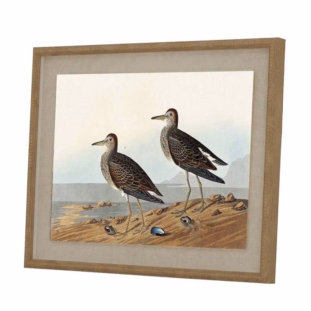 Lemon Pavilion Flora & Fauna Collection Sandpipers on Linen Beaded Frame Wall Art, Brown and Multicolour, H 50 cm x W 40 cm – 2
