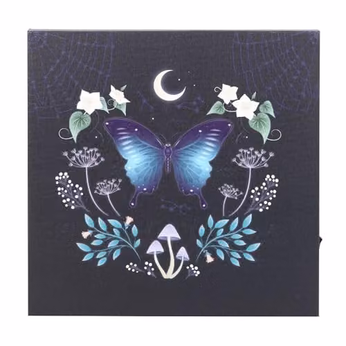 Something Different Midnight Moth Light Up Canvas Plaque in Multicolour and Brown
