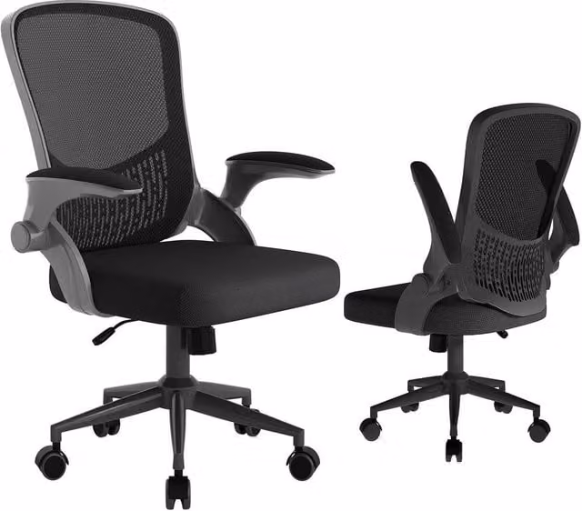 Gartistgo Ergonomic Mesh Office Chair with Flip-Up Arms and Storage Back in Black – 1