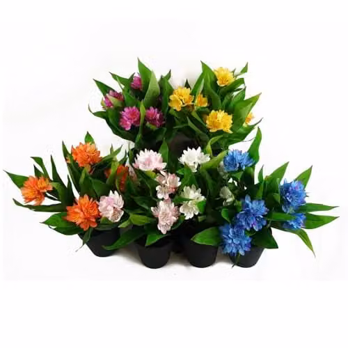Leaf Artificial Freesia Flowering Potted Houseplant in Pink, Blue, White, Yellow or Orange, Height: 18 cm – 2