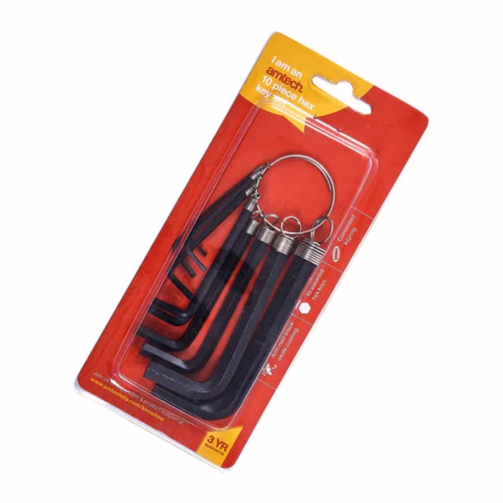Amtech 10-Piece Hex Key Set with Keyring in Black and Multicolour – 2