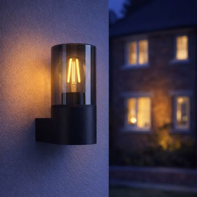 Eglo Cropani Black Outdoor Wall Down-Light with Glass and Plastic Housing