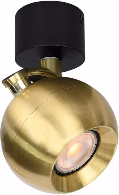 Netlighting Lafin Single Ceiling Spotlight in Black and Gold Brass