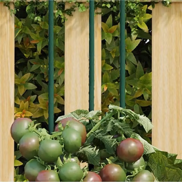 Berkfield Home Garden Green Steel Plant Stakes, 30 Pieces, Height: 90 cm – 1
