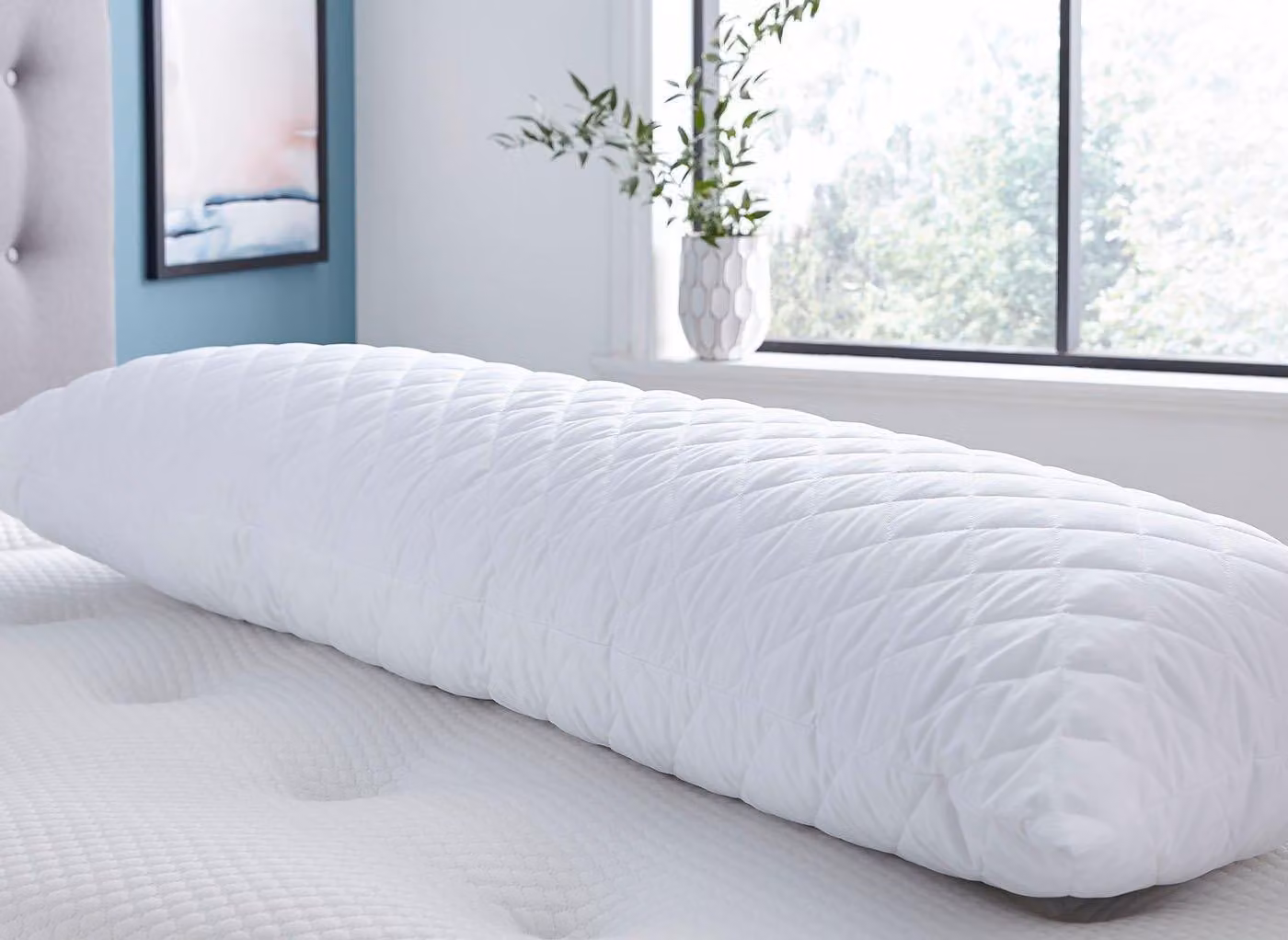 Silentnight U-Shaped Body Support Pillow with Removable Microfibre Cover in White