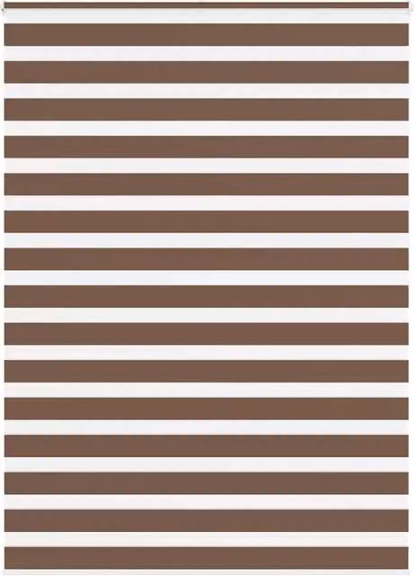 Berkfield Home Brown Zebra Day and Night Blind, W: 160 cm, H: 200 cm – 1
