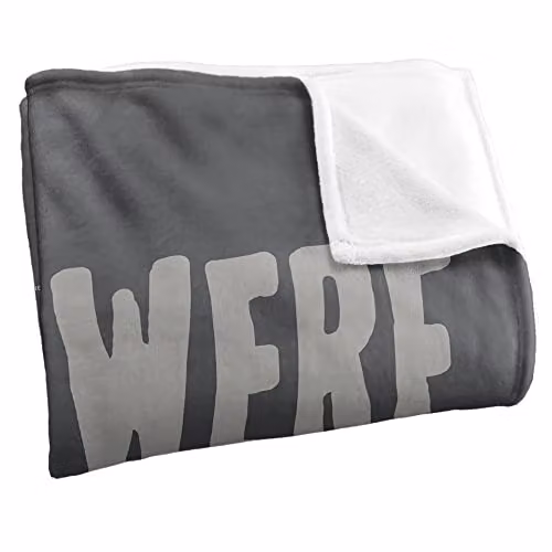 Warner Bros. Friends The Time Apart Silky Touch Super Soft Fleece Throw Blanket, Grey and Multicolour, W/D/H: 91 x 147 cm – 2