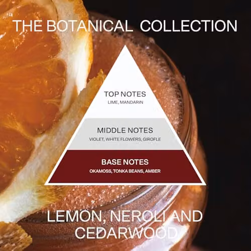 French Connection Lemon and Cedarwood Scented Botanical Pillar Candle, 660g – 3