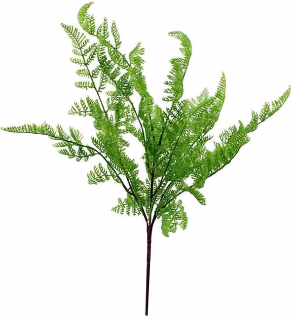 Leaf Design UK Southern Wooded Fern Bush in Dark Green