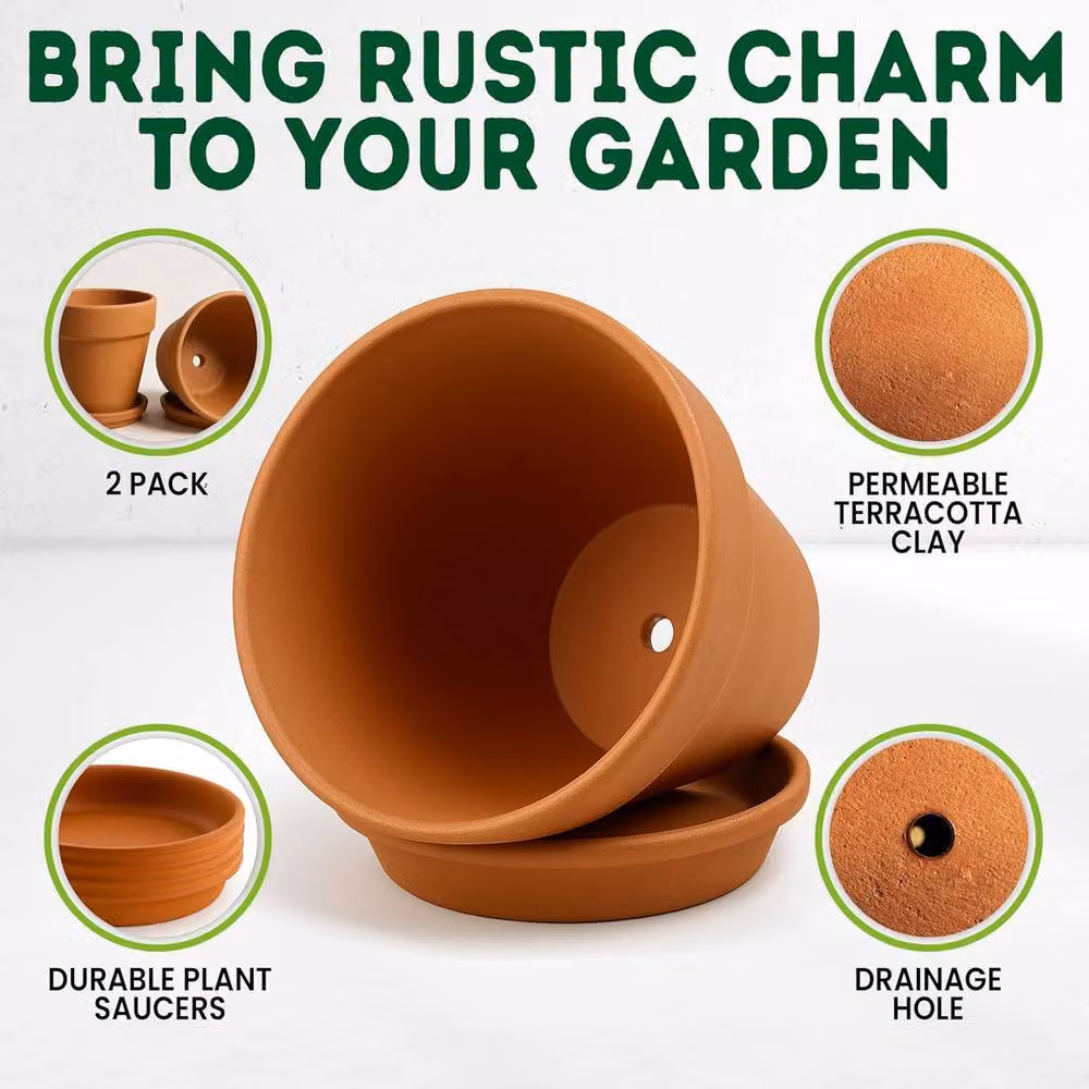 Green Thumbz Pack of 2 Brown Terracotta Clay Plant Pots with Saucer, Diameter: 20 cm – 4