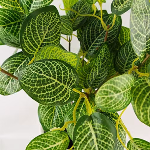 Botanik Potted Artificial Variegated Pothos Plant in Green and Black, Height: 40 cm – 4