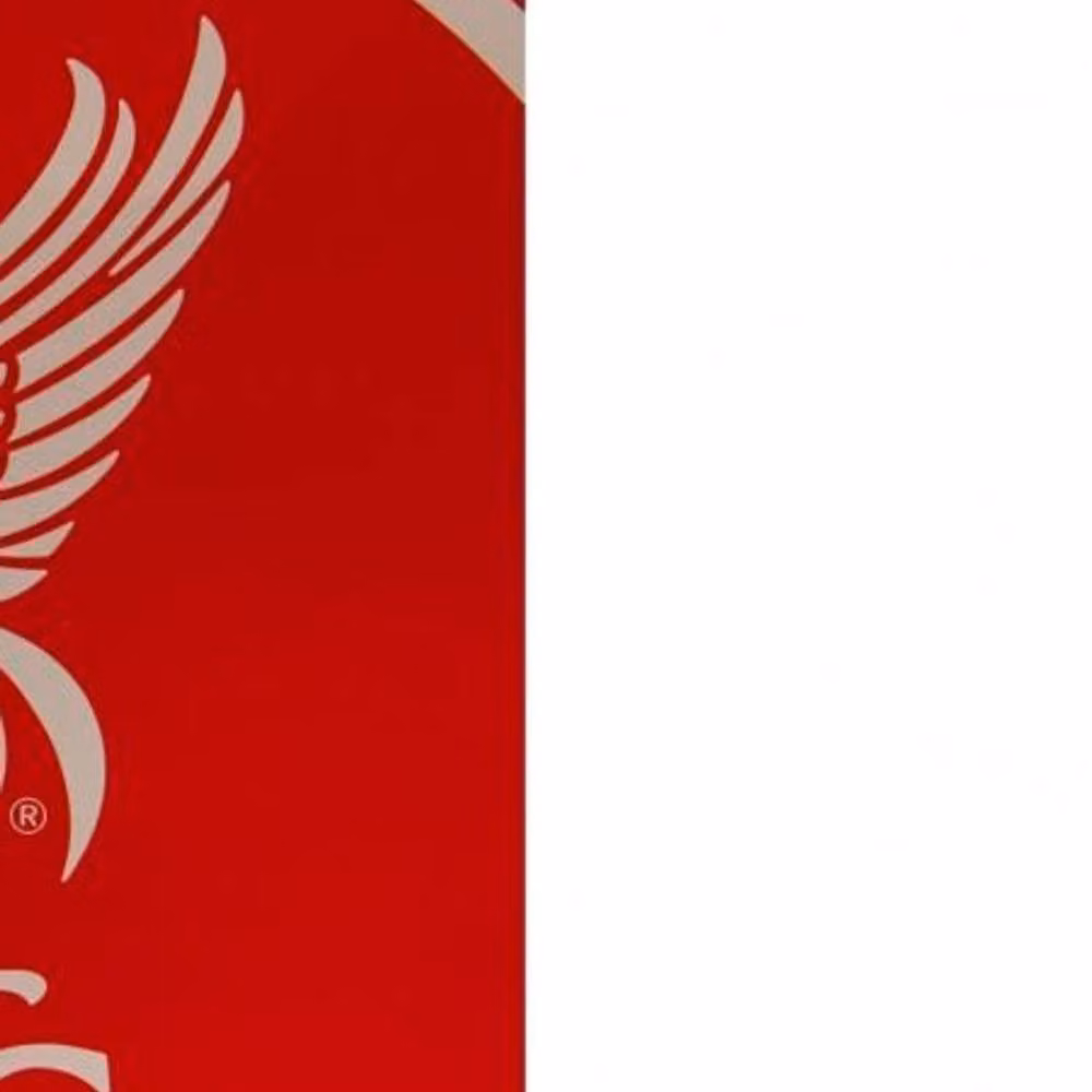 Liverpool FC Red Pulse Cotton Terry Velour Towel W/H: 140 x 70 cm – 2