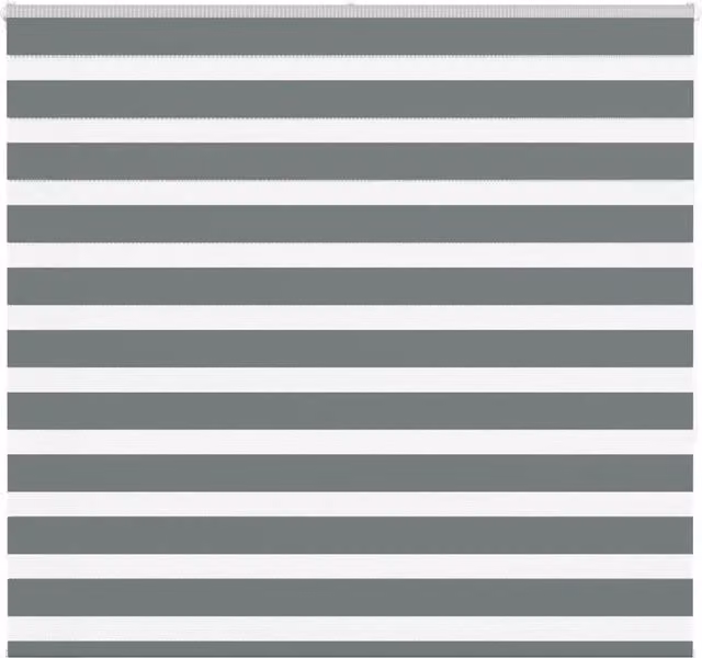 Berkfield Home Zebra Blind in Dark Grey, W: 165 cm, H: 150 cm