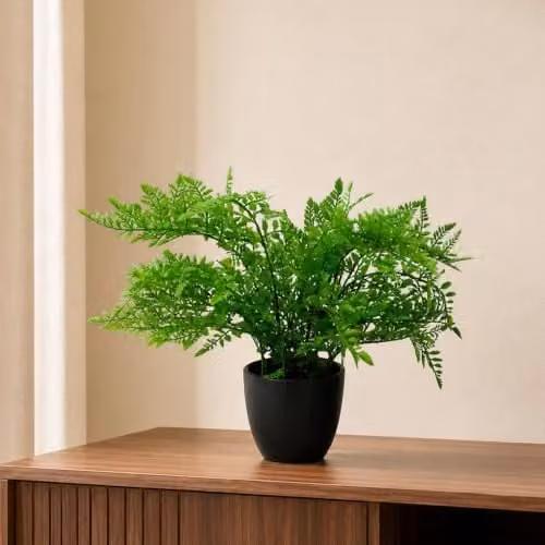 Leaf Design Realistic Artificial Potted Fern Plant in Green and Black, H 40 x W 40 x D 40 cm – 1