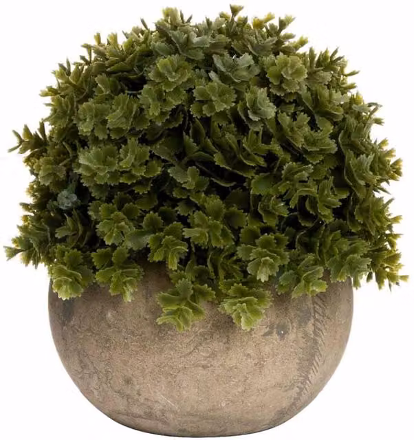 Lemon Pavilion Miniature Shrubby Veronica Artificial Potted Plant in Green, W13 x D13 x H13 cm – 1