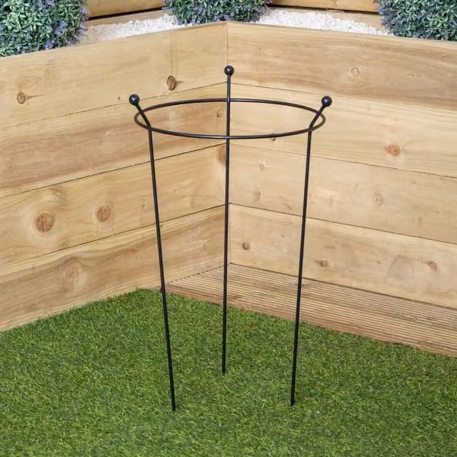 Samuel Alexander Black Steel Heavy Duty Herbaceous Garden Plant Support Ring, W: 60 cm, D: 35 cm – 1