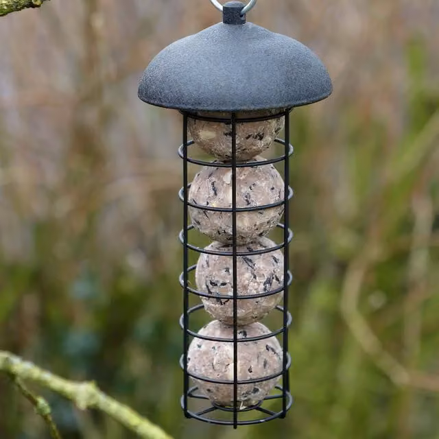 Gardman Black Steel Fat Snax Feeder in Black