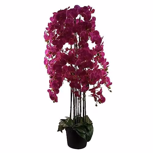 Leaf Design UK Realistic Potted Artificial Orchid Flower Display in Purple and Green, Height: 150 cm – 1