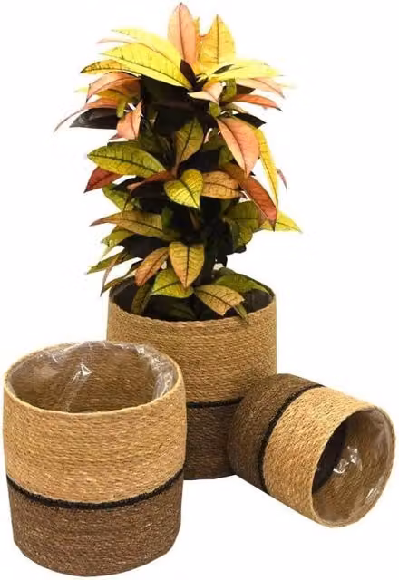 Garden Gear Set of 3 Round Rustic Rattan Planter Baskets in Blue and Brown