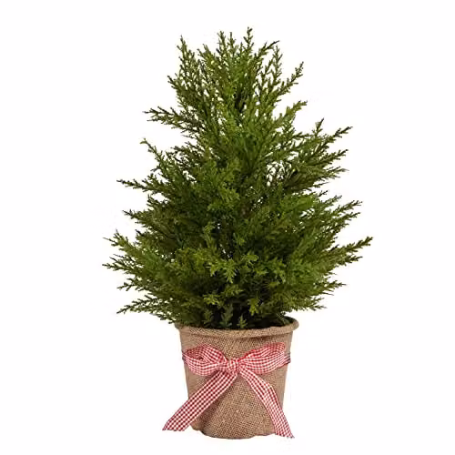 Lights4fun Artificial Mini Potted Christmas Fir Tree Decoration with Red Ribbon, Height: 55 cm – 2