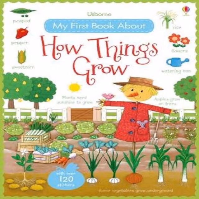 Felicity Brooks My First Book About How Things Grow Paperback, Multicolour