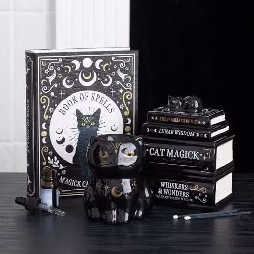 Something Different Wholesale Black Cat Magick Book of Spells Shaped Storage Box with Lid – 4