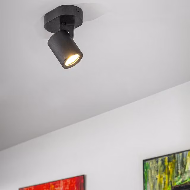 CGC Carla Single Modern Cylinder Spotlight in Black, Adjustable Aluminium Surface Mount