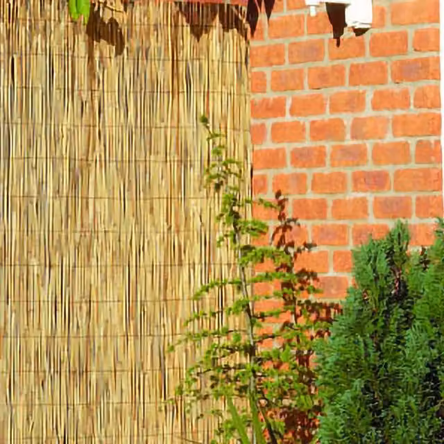 Primrose Woven Peeled Reed Natural Garden Screening Roll, Brown, Width: 100 cm