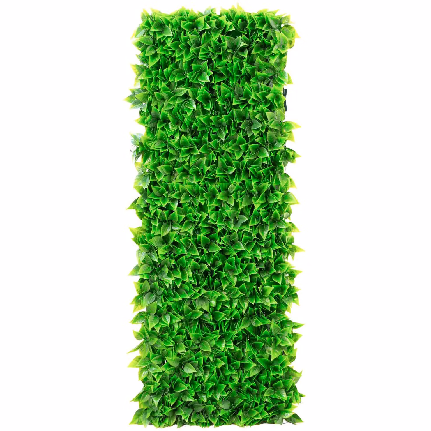 Primrose Green Extendable Artificial Hedge Wall-Mounted Screening W: 100 cm, H: 200 cm – 5