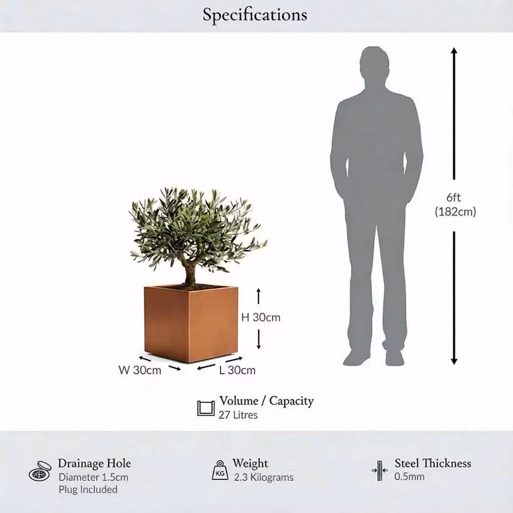 Access Garden Products Square Galvanised Steel Planter Tub in Bronze and Brown, W/D/H: 30 x 30 x 30 cm – 4