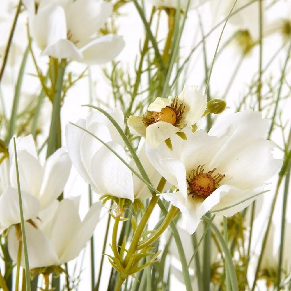 Lemon Pavilion Large Meadow Plant in Pot, White, Height: 150 cm – 2
