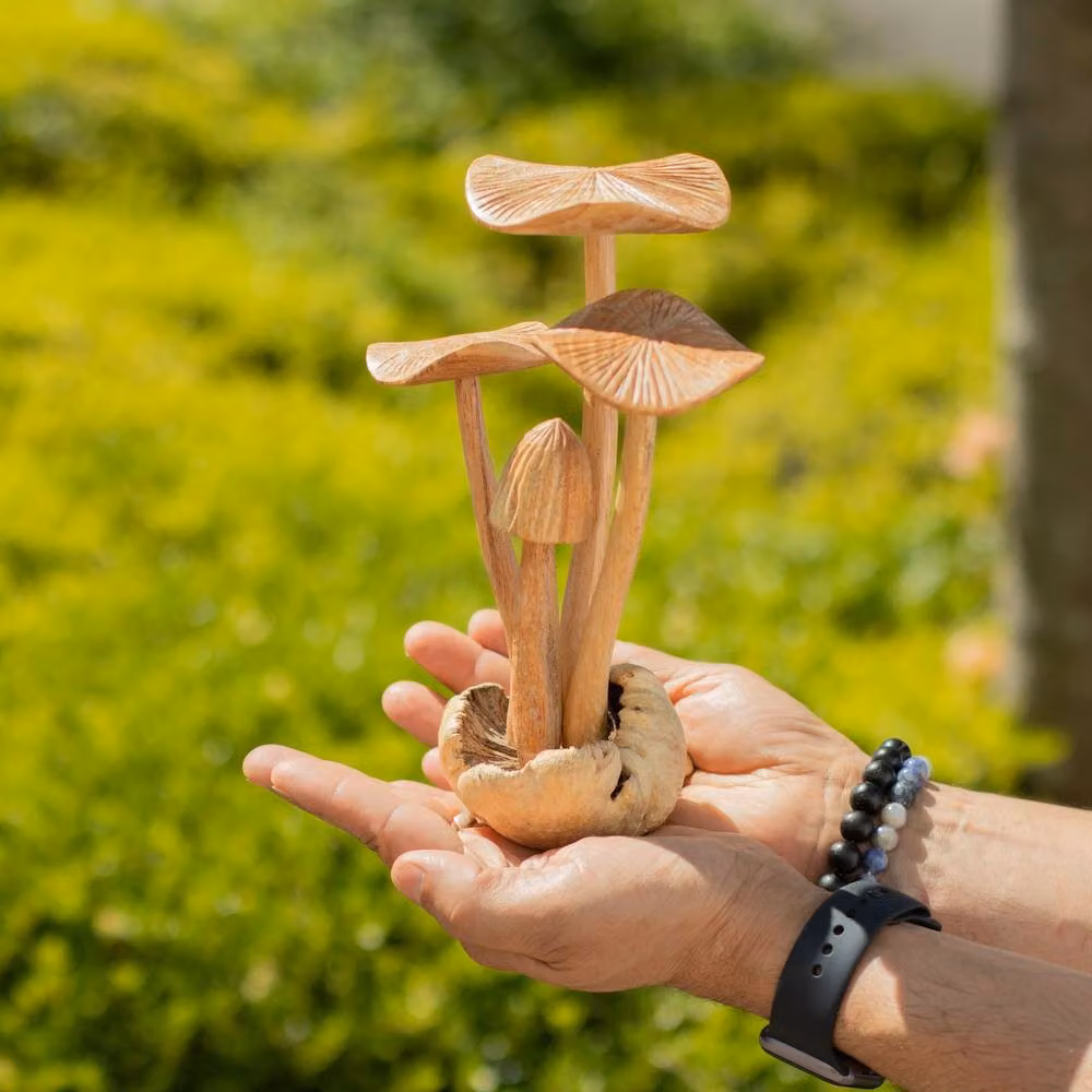 Serenityy Handmade Rustic Wood Mushroom Ornament, Brown, 4 Pack – 4