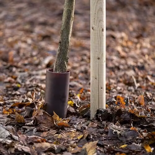 Garden Gear Brown Plastic Tree Guard Strimmer Protection for Saplings, W/D/H: 33.5 x 20 x 9.5 cm – 2