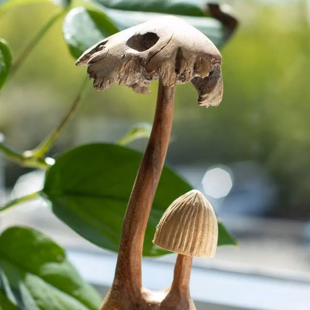 Serenityy Handmade Parasite Wood Mushroom Carving Set of Two in Natural Brown – 1