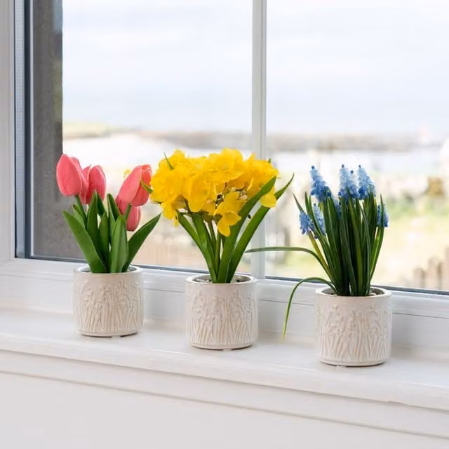 Scottish Everlastings Ltd Set of 3 Multicolour Ceramic Spring Floral Tabletop Pots