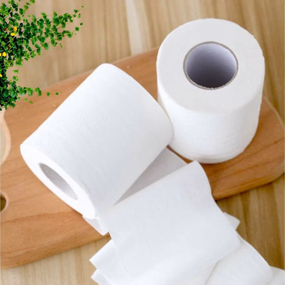 NESTLUNE 2-Ply Embossed Quilted Soft Luxury Toilet Roll in White – 1