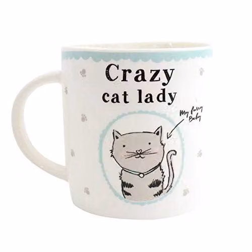 Something Different Crazy Cat Lady Multicolour Ceramic Mug