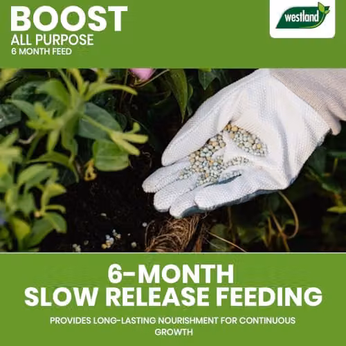 Westland Boost All Purpose Slow Release Plant Food, 750g – 7