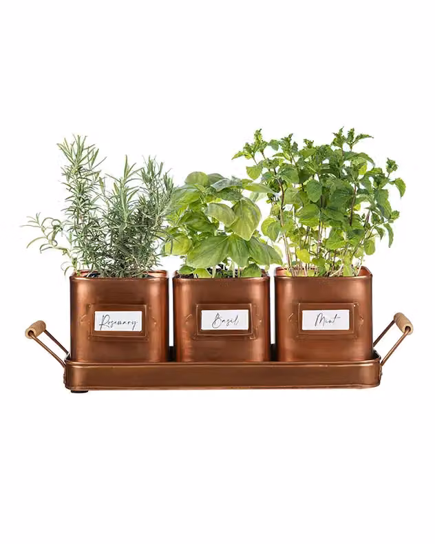 Dibor Set of 3 Metal Indoor Outdoor Garden Plant Pots with Tray, Bronze and Brown, W: 43 cm, H: 12 cm – 2