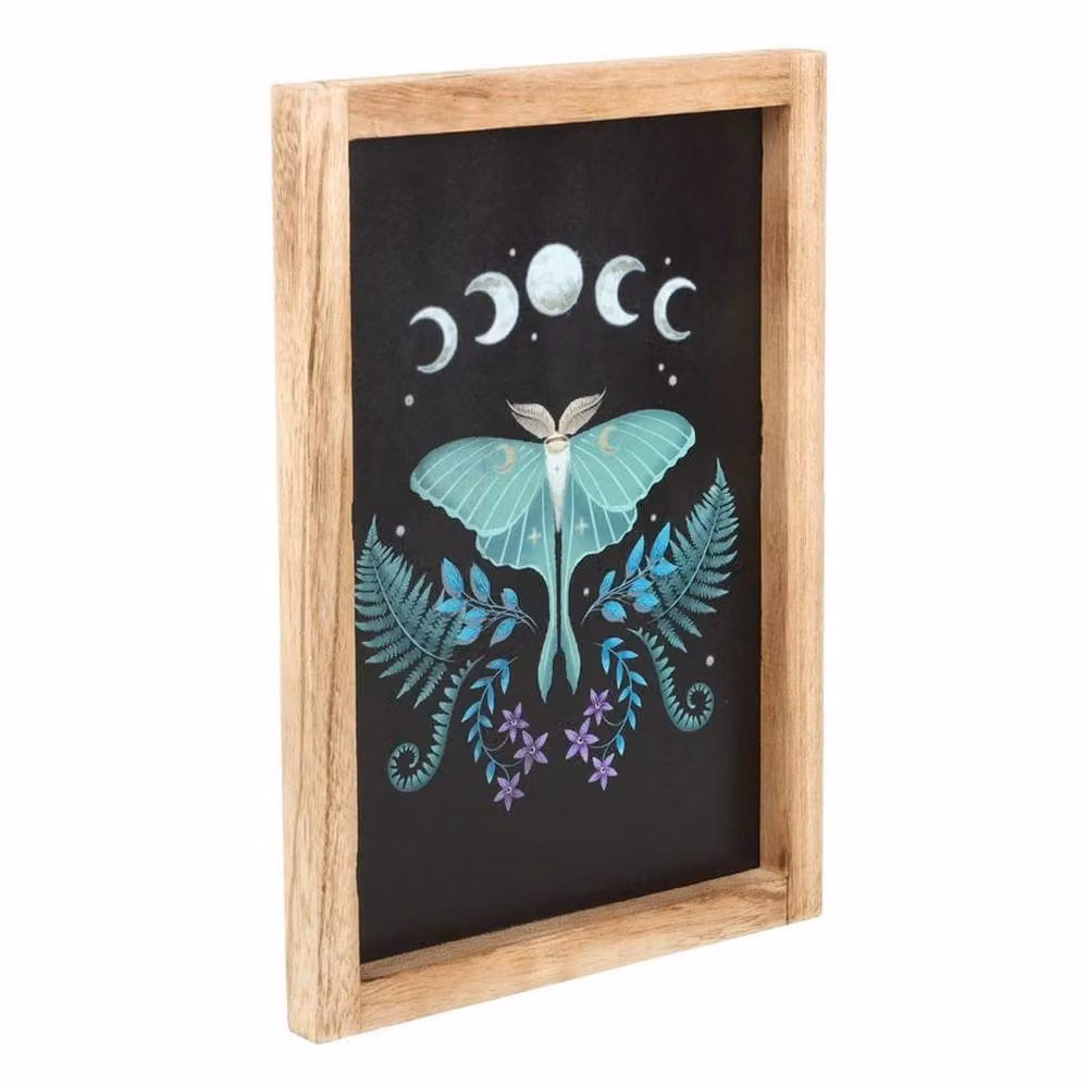 Something Different Luna Moth Framed Wooden Poster in Black and Multicolour – 2