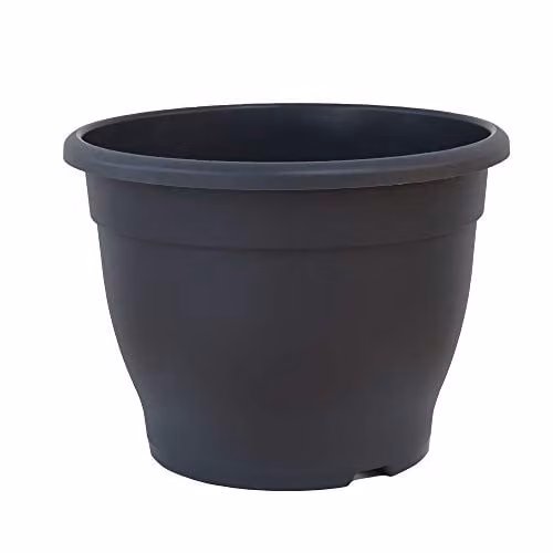 Thompson and Morgan Dark Grey Plastic Patio Planter Pot, 32 cm