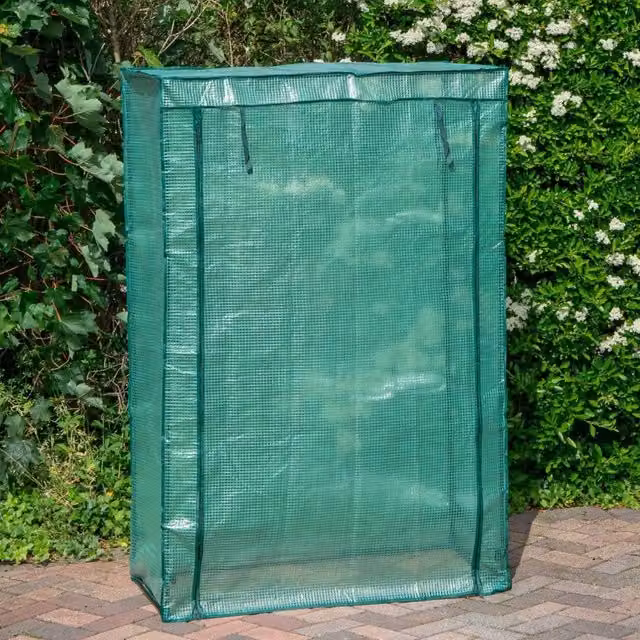 NESTLUNE Green Outdoor Tomato Greenhouse, W: 100 cm, D: 15 cm, H: 150 cm