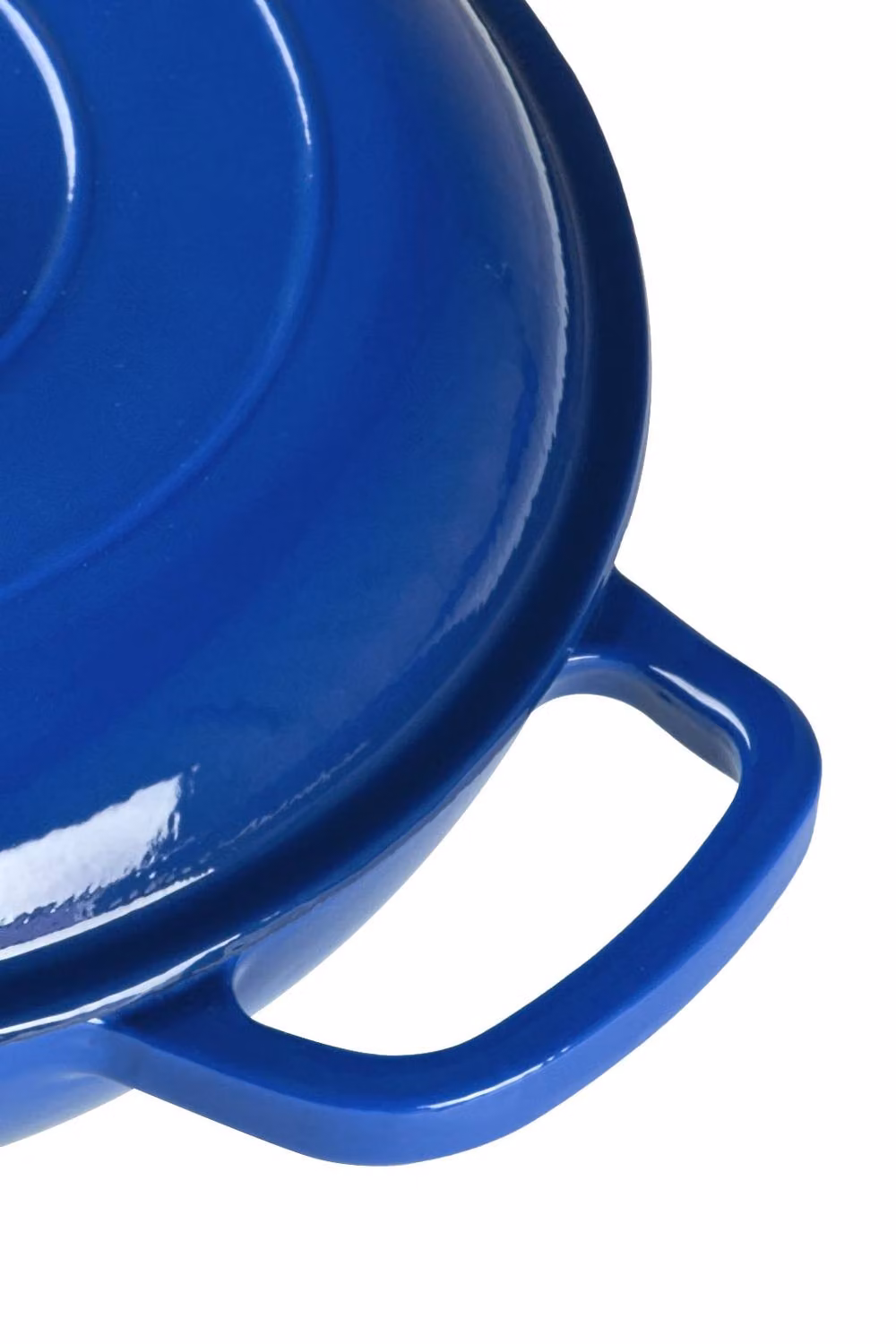 Garden Sanctuary Blue Enamelled Cast Iron Casserole Pot with Lid, 3.2 l – 3