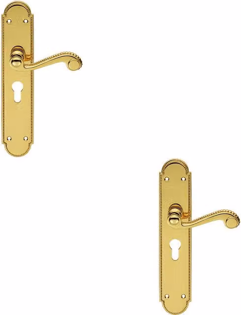 Loops 2x Pair Beaded Pattern Handle on Euro Lock Backplate, Polished Brass, 249 x 50 mm