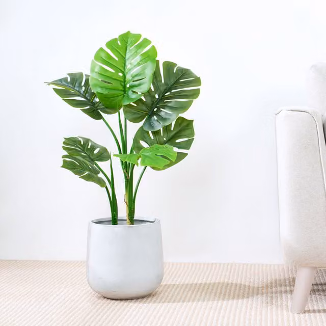 MCC Direct Artificial Monstera Plant in Green with Plastic Planter Pot, Height: 80 cm