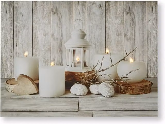 Art for the Home Coastal Treasures LED Printed Canvas in Beige and Grey