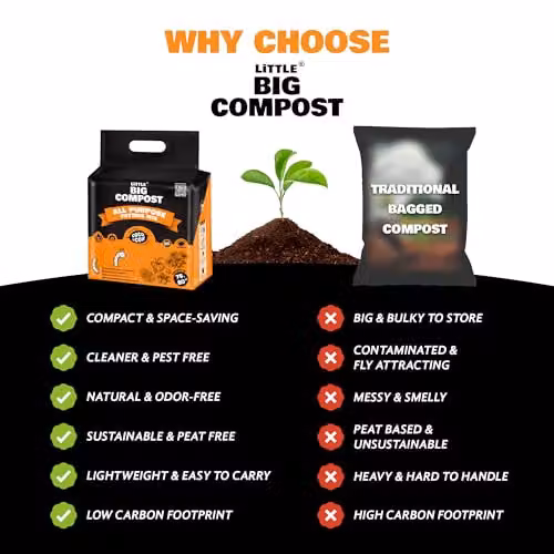 Coco&Coir Coco Boost All Purpose Peat-Free Coco Soil for Indoor Plants, 75 l – 6
