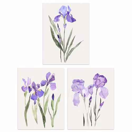 Wee Blue Coo Set of 3 Watercolour Iris Floral Flower Paper Posters in Blue and Purple, W/H: 30 x 40.5 cm and 41 x 41 cm
